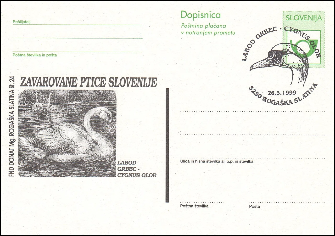 LABOD GRBEC - CYGNUS OLOR